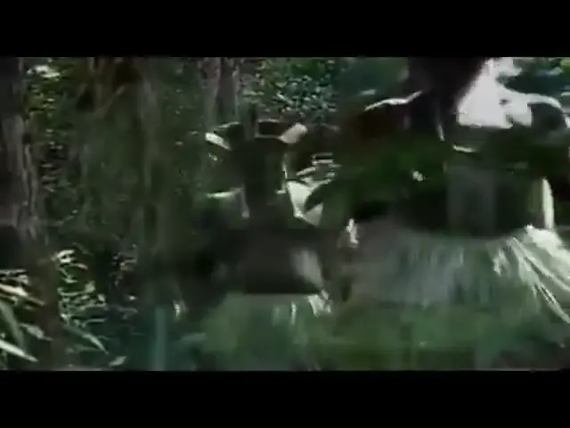 Reportagem de TV sobre a fórmula capilar, com imagens da Amazônia